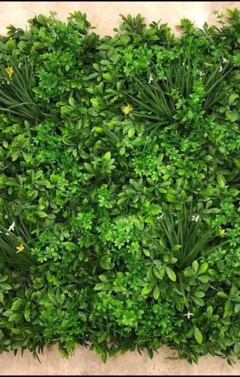 عشب جداري (1)